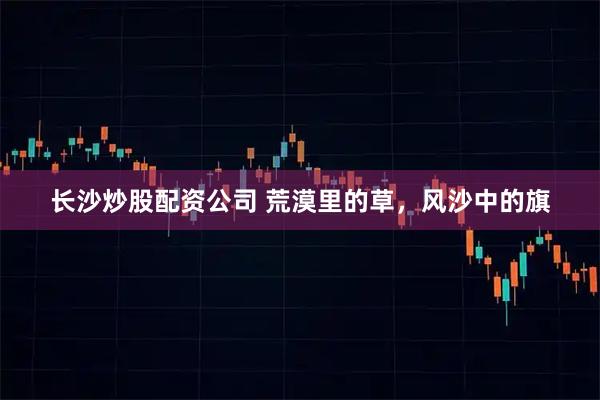 长沙炒股配资公司 荒漠里的草，风沙中的旗